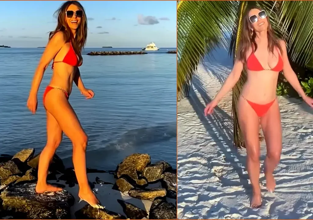 Elizabeth Hurley