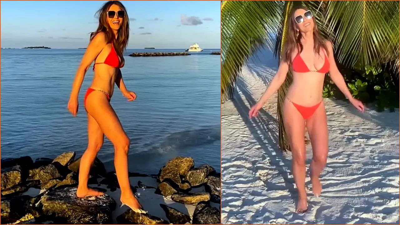 Elizabeth Hurley